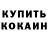 Каннабис OG Kush Harvey Beaver