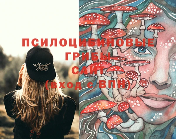 герыч Михайловка