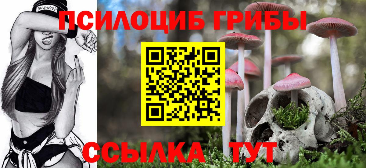 Галлюциногенные грибы Psilocybe  Грозный 