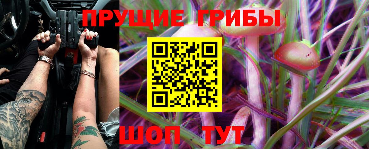 Псилоцибиновые грибы прущие грибы  Псилоцибиновые грибы мухоморы  Вход с VPN  Грозный 