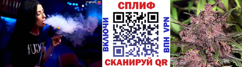 где можно купить   Грозный  Конопля конопля 